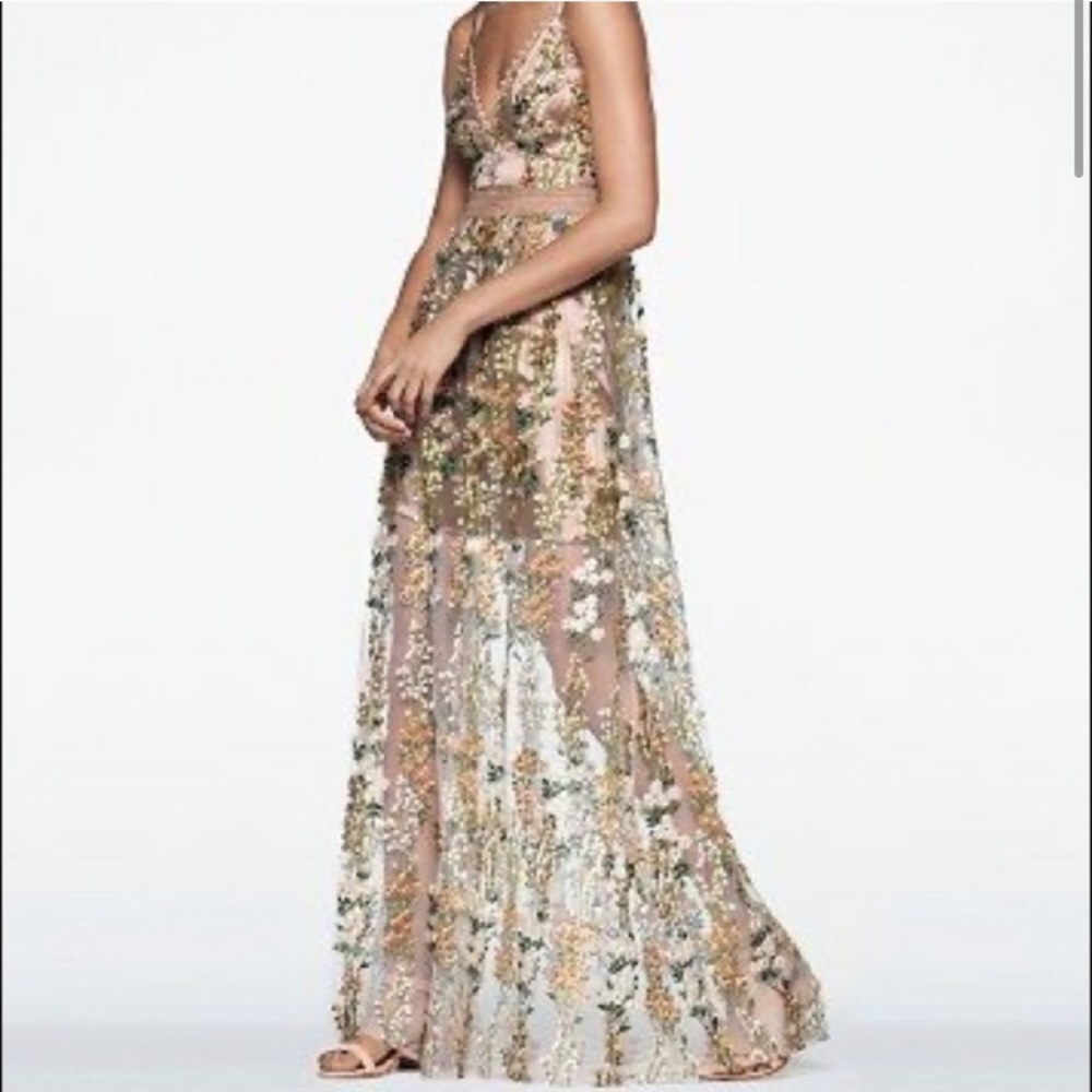 SOLD ⚡️⚡️⚡️AQUA NWT floral plunge embroidered gown - Picture 2 of 8